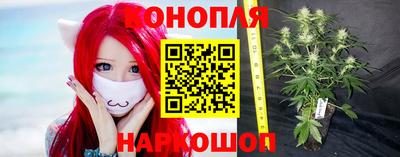 стаф Ижевск