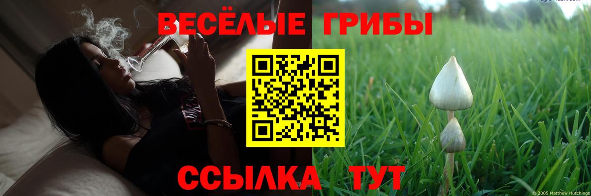Псилоцибиновые грибы Cubensis  Вход с VPN  Асбест  Псилоцибиновые грибы GOLDEN TEACHER 